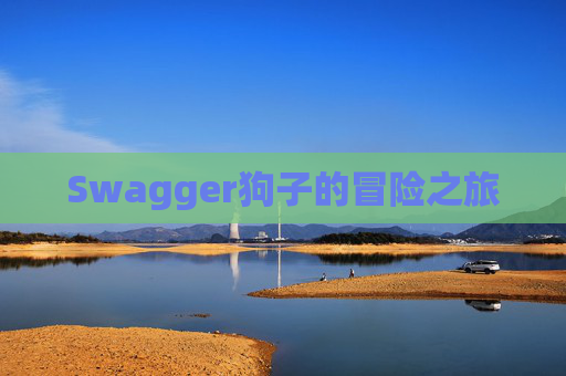 Swagger狗子的冒险之旅