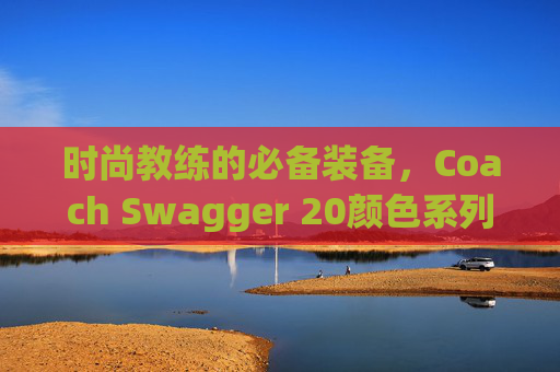 时尚教练的必备装备，Coach Swagger 20颜色系列