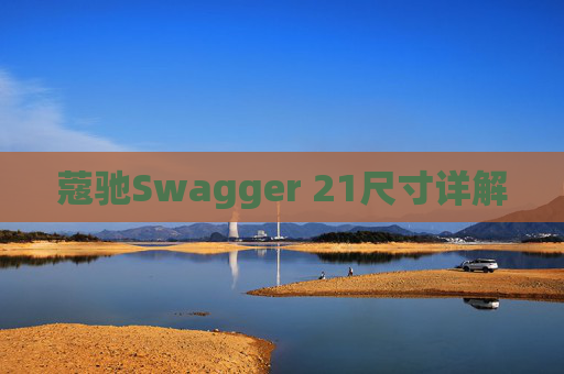 蔻驰Swagger 21尺寸详解